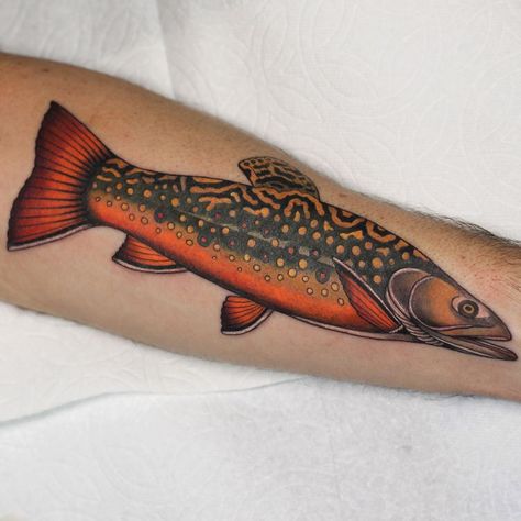 @savvytattoos did a great job on my newest tattoo - thank you! Brook Trout Tattoo, Salmon Tattoo, Belfast Tattoo, Trout Tattoo, Botanisches Tattoo, Golden Trout, Tato Flash, Traditional Black Tattoo, Polynesian Tattoos Women