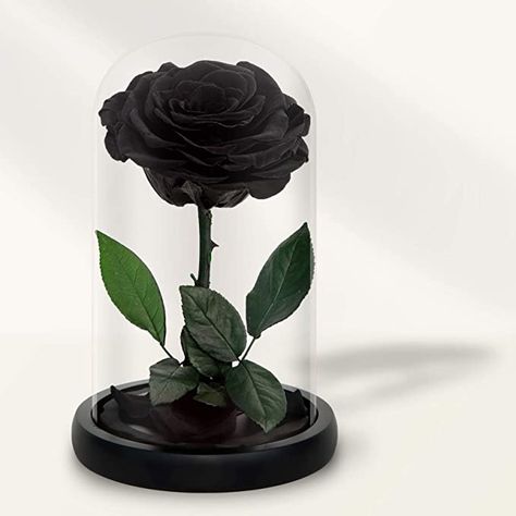 Rose In Glass Dome, Mini Rosa, Rose Dome, Rose In A Glass, Glass Rose, Forever Rose, Black Roses, Valentines Flowers, Preserved Roses