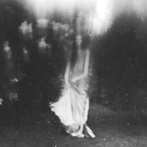 Deborah Sheedy on Instagram: “'Labyrinth' series” The Stolen Heir, Stolen Heir, On The Ground, Wren, Black And White, On Instagram, White, Instagram, Black