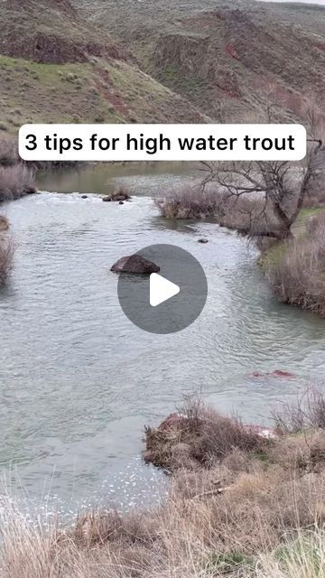 Broder Fly Fishing on Instagram: "High water fly fishing trout tips. What do you like to do?  Answers in the comments." Fishing Trout, Trout Fishing Tips, Fly Fishing Tips, Trout Fishing, High Water, Fishing Tips, Fly Fishing, Fishing, Fish