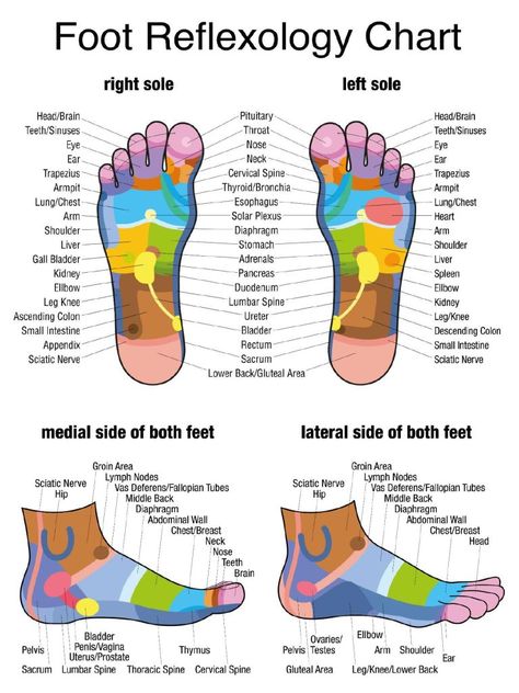 Reflexology Foot Chart, Reflexology Chart, Reflexology Massage, Foot Reflexology, Massage Benefits, Sciatic Nerve, Foot Massage, Massage Therapist, Reflexology