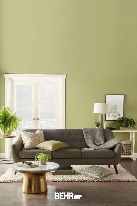 Looking for a fun wall color that you can use in every room in your home? Get inspired by the Behr 2020 Color of the Year: Back to Nature. This light green hue adds a refreshing twist to any space as seen in this home office, dining room, living room, and mudroom. Click below to discover more inspiration for this trending hue. Behr Colors, Behr Paint Colors, Trending Paint Colors, Behr Paint, Green Paint Colors, Green Walls, Room Paint Colors, Interior Paint Colors, Paint Colors For Living Room