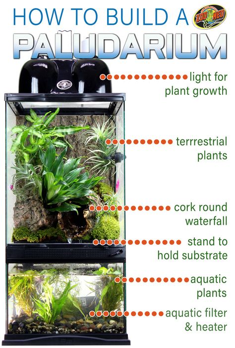 How to build a Paludarium. Paludariums build a home for reptiles, fish, and plants to live in harmony. Terrarium on top with air plants, mosses, and other plants of choice, with an aquarium on bottom. Two sizes: 12"x12"x24" that holds 4 gallons of water or 18"x18"x36" that holds 10 gallons of water. Terrariums Diy, Water Terrarium, Frog Terrarium, Tanaman Air, Fish Tank Terrarium, Aquascape Design, Aquarium Terrarium, Build A Home, Reptile Terrarium