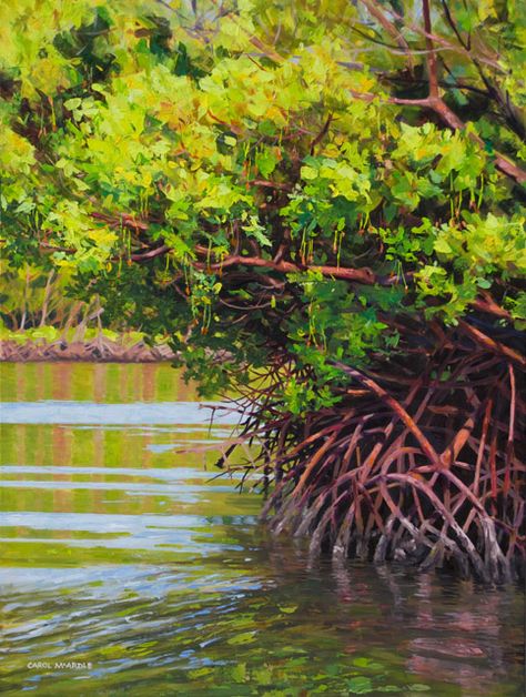 Mangrove Paintings Mangroves Art, Bahamas Freeport, Florida Painting, Grape Painting, Beach Paintings, Tropical Trees, Mangrove Swamp, Forest Drawing, Koi Art