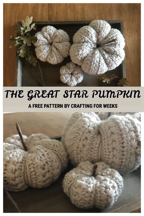 Crochet Textured Pumpkin Pattern, Crochet Pattern With Bulky Yarn, Bulky Crochet Pumpkin Free Pattern, Free Crocheted Pumpkin Patterns, Crochet Fall Pumpkins, Crochet Pumpkins Free, Crochet Year Projects, Crochet Striped Pumpkin Free Pattern, Pumpkin Crochet Free Pattern