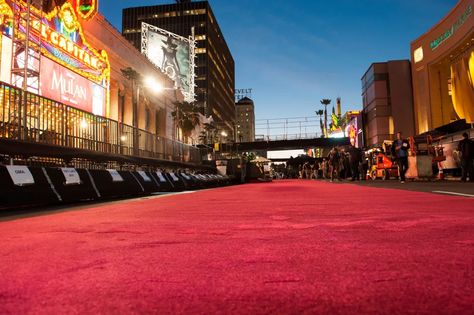 Red Carpet Decorations, Climate Crisis, Red Carpet Event, 21st Century, Red Carpet, Fair Grounds, Street View, Carpet, Tumblr