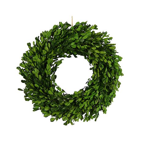 Primrue Faux Boxwood Twig 18'' Wreath & Reviews | Wayfair Cottage Design Plans, Faux Boxwood, Preserved Boxwood, Leaf Collection, Natural Twists, Boxwood Wreath, Twig Wreath, Artificial Boxwood, Real Leaves