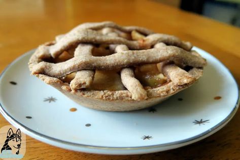 DIY APPLE PIE FOR DOGS | Gone to the Snow Dogs Pies For Dogs, Pie For Dogs, Diy Apple Pie, Diy Apple, Apple Pie Recipe, Dog Treats Homemade Recipes, Apple Season, Pie Pan, Apple Pie Recipes