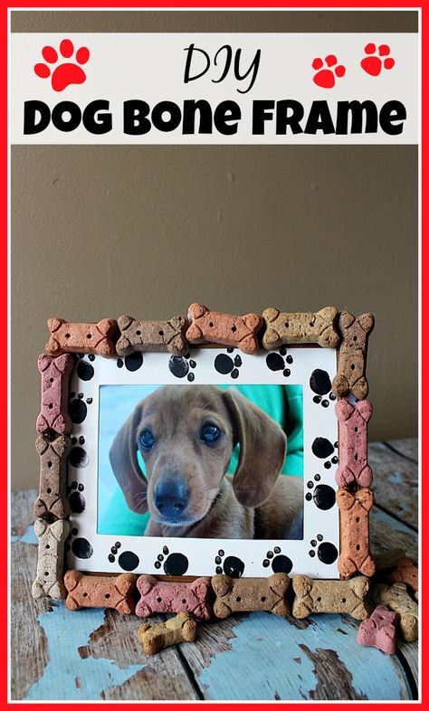 What better way to treasure your pet than with a cute picture in an equally cute frame! Make this DIY dog bone frame to display your adorable dog's photo! Farm Doodles, Diy Dog Gifts, Pet Craft, Gift Frames, Pet Crafts, Dog Picture Frames, Frames Diy, Cute Frame, Dogs Diy Projects