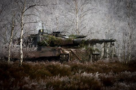 #swamp, #military, #vehicle, #tank, #Leopard 2, #Bundeswehr, wallpaper Norwegian Army, Winter Camouflage, Tank Wallpaper, Leopard Tank, Military Armor, Military Hardware, Tank Destroyer, German Tanks, World Of Tanks