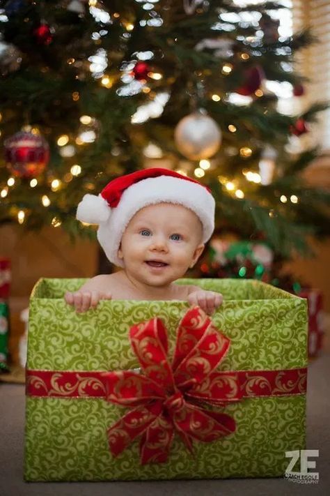 40+ Adorable Baby Christmas Pictures Baby Christmas Pictures, Christmas Picture Ideas, Diy Christmas Photoshoot, Baby Christmas Photography, Christmas Baby Pictures, Baby Christmas Photos, Baby Fotografie, Xmas Pictures, Xmas Photos