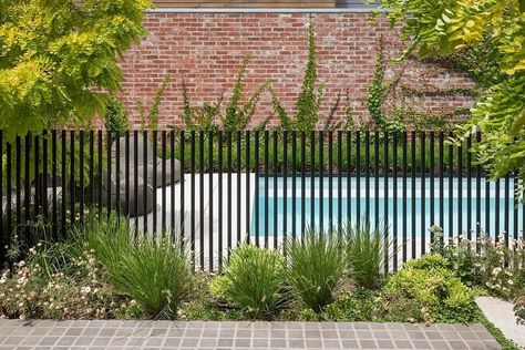 Pool Fencing Landscaping, Laguna Pools, Pool Design Plans, Clifton Hill, Pool Landscape Design, Concrete Pool, Pool Fence, Pool And Spa, Fence Landscaping