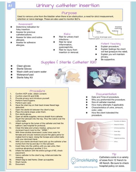 Urinary Catheter Insertion, Indwelling Catheter Nursing, Bowel Elimination Nursing Notes, Foley Catheter Nursing, Foley Catheter Insertion, Future Lpn, Nurse Charting, Nursing Concepts, Urinary Catheterization