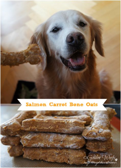 Salmon Dog Treats, Doggy Treats, Adventure Dog, Tasty Tuesday, Dog Treats Homemade Recipes, Pumpkin Banana, Life Adventure, Food Dog, Puppy Treats