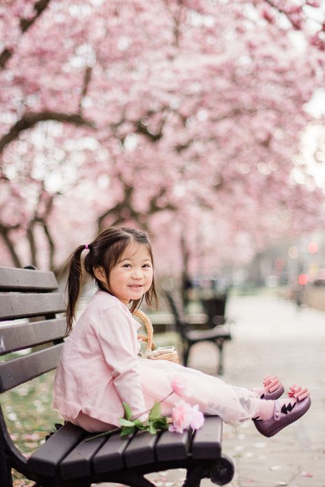 Cherry Blossom Festival in Washington DC is the perfect time for a mini photo session!  Cherry blossoms bloom all over the Washingotn DC, Maryland, and Virginia.  It's the perfect time for a family, engagement, or portrait session!  #photography #washingtondc #maryland #photographer #cherryblossoms #flowers Cherry Blossom Washington Dc, Cherry Blossom Photo, Cherry Blossom Dc, Cherry Blossom Pictures, Mini Photo Sessions, Spring Photoshoot, Cherry Blossom Festival, Spring Family, Spring Photos