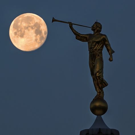 Angel Moroni Temple Wedding Photos, Angel Moroni, Temple Lds, Mormon Temples, Lds Art, Temple Wedding, Lds Temple, Angel Statues, Lds Temples