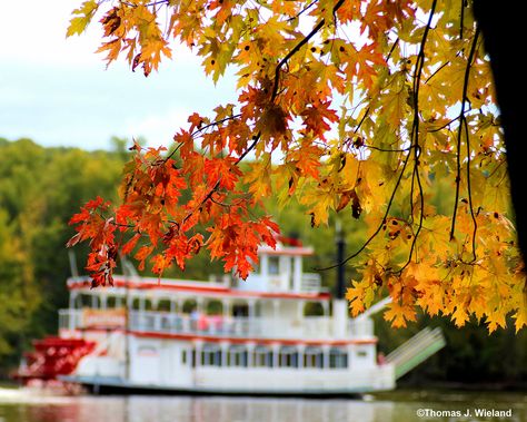 YOUR OFFICIAL GUIDE TO STILLWATER, MINNESOTA TOURISM! The place where it all began is still the place to be! Stillwater Minnesota, Ghost Walk, Harvest Fest, Minnesota Travel, Private Boat, Boat Cruise, Apple Farm, Where It All Began, St. Croix