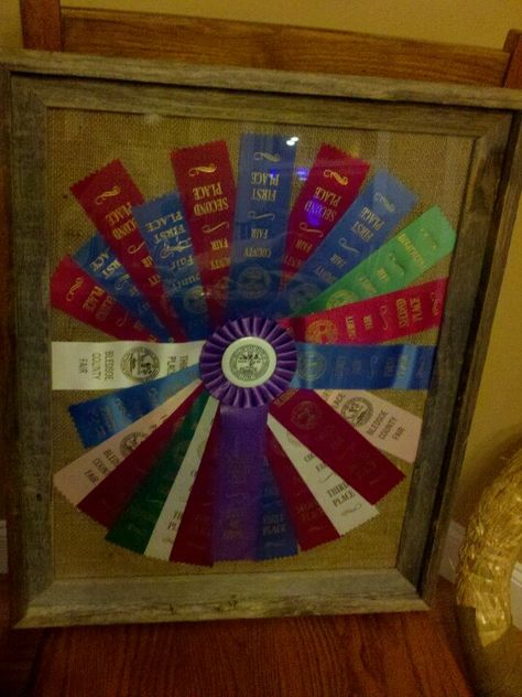 My boys ribbons from county fair Livestock Ribbon Display, Fair Ribbon Crafts, Fair Ribbon Display Ideas, Ribbon Display Ideas, 4h Project Ideas, County Fair Projects, Award Ribbon Display, Ribbon Quilts, Horse Ribbon Display