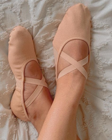 Ballet Soft Shoes, Ballet Flats For Dance, Beginner Ballet Aesthetic, Ballerina Shoes Aesthetic, Ballet Flats Aesthetic, Coquette Swan, Swan Lake Barbie, Barbie Ballerina, 2024 Manifestations