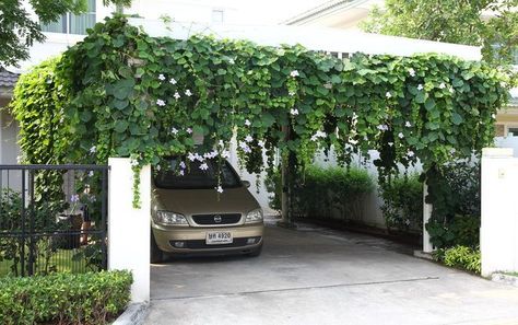 Gazebo Bar, Front Balcony, Courtyard Design, Patio Garden Design, Tropical House, House Plants Decor, Tropical Houses, Hanging Garden, Pretty Plants