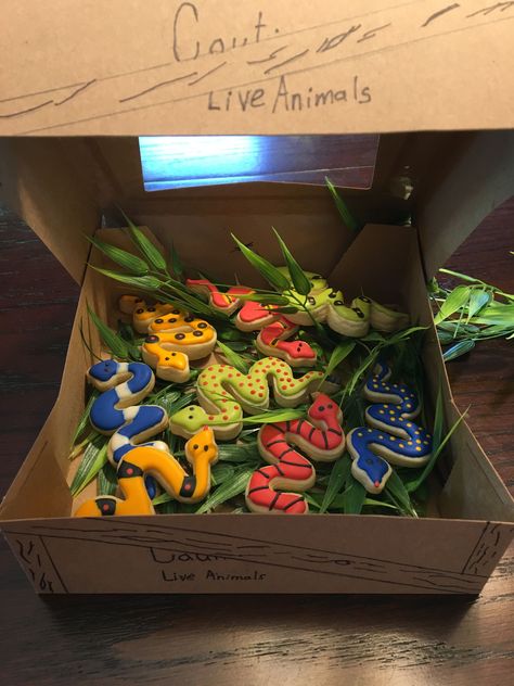 Jumanji Birthday Party, Safari Birthday Party Boy, Snake Cookies, Wild Kratts Birthday Party, Wild Kratts Party, Snake Cakes, Snake Birthday, Jumanji Movie, Snake Party