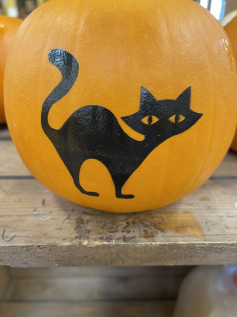 Black Cat Pumpkin Painting, Cat Pumpkin Painting, Black Cat On Pumpkin, Black Cat Painting, Painted Pumpkin, Pumpkin Painting, Cat Pumpkin, Cat Painting, Painted Pumpkins