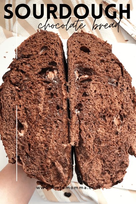 Chocolate Sourdough Bread Recipe, Bread Recipe Sourdough, Chocolate Sourdough Bread, Chocolate Desserts Fancy, Chocolate Bread Recipe, Chocolate Sourdough, Chocolate Smores, Sourdough Bagels, Bread Dough Recipe