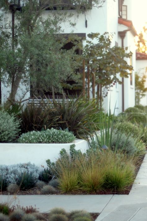 Succulent Landscape Design, Australian Native Garden, Drought Tolerant Landscape, Succulent Landscaping, Australian Garden, Meteor Garden 2018, Coastal Gardens, Mediterranean Garden, Native Garden