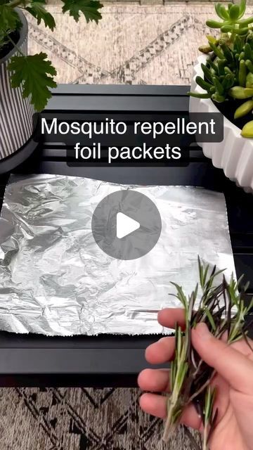 Alicia Kim on Instagram: "Mosquitoes are bad this year! Will be making another batch of these for sure! Not only do they help keep the mosquitoes away they make your fire smell amazing! You can also omit the tinfoil and just bundle these together with a little string!  Comment link for the lemongrass essential oil for less than $10!  How are you keeping the mosquitoes away this summer?  #mosquito #mosquitorepellent #outdoorliving #outdoorlife #bugrepellent #easydiy #summerliving #outdoorspace #campinghacks #camping" Garden Pest Spray, Mosquito Repellent Essential Oils, Store Fresh Herbs, Mosquito Repellent Homemade, Homemade Bug Spray, Natural Bug Repellent, Natural Mosquito Repellant, Organic Pest Control, Mosquito Repelling Plants