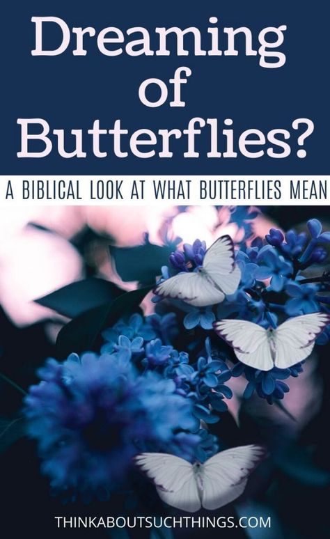 Bible Symbolism, Meaning Of Butterflies, Butterfly Scripture, Biblical Dream Interpretation, Butterfly Poems, Butterfly Meaning, About Butterflies, Christian Lifestyle Blog, About Dreams