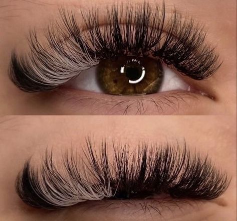 Lash Extentions, Lashes Fake Eyelashes, Color Extensions, Lash Extensions Makeup, Eyelash Extensions Styles, Lash Extensions Styles, Perfect Eyelashes, Pretty Lashes, Eyelash Extentions