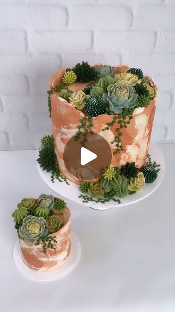 Leslie Vigil on Instagram: "Cacti + succulents on terracotta marble🌵🪴  And a mini smash cake for baby! Hope you enjoyed your birthday, sweet Charlie 🧡  #buttercreambotanicals #buttercreamsucculents #buttercreamcactus #cactuscake #buttercreamflowers #pipedflowers #flowerpiping #desertlife #desertbloom #plantlover #plantstagram #botanicalart #botanicalartist #birthdaycake #firstbirthdaycake #smashcake" Mini Smash Cake, Terracotta Marble, Cake For Baby, Cactus Cake, Piping Flowers, Buttercream Flowers, Smash Cake, Baby Cake, Cacti And Succulents