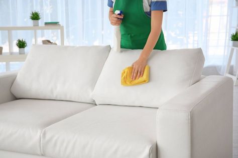 With a 5 year warranty and a network of highly skilled repair technicians, you can relax knowing you have protection against any accidental damage or stains. Check out our care products here. https://bit.ly/3lXQjRW ⭐ You'll #FindItAtFurnitureBazaar #interiordesign #furniture #homedecor #home #interior #interiordesigninspo #furnituredesign #homedecoration #interior_and_living #Interiordesigngoals #furnituredecor #decoracioninteriores #interiorgoals #furniturebazaar #Perth #WesternAustralia Sofa Cleaning Services, Faux Leather Couch, Sofa Cleaning, Deep Couch, Steam Clean Carpet, Clean Couch, Clean Sofa, Mattress Cleaning, Professional Carpet Cleaning