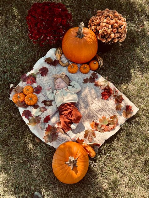 Newborn Pumpkin, Fall Baby Photos, Pumpkins And Leaves, Fall Scenery, Baby Fall, Spooky Party, 2024 Outfits, Fall 2024, Pumpkins