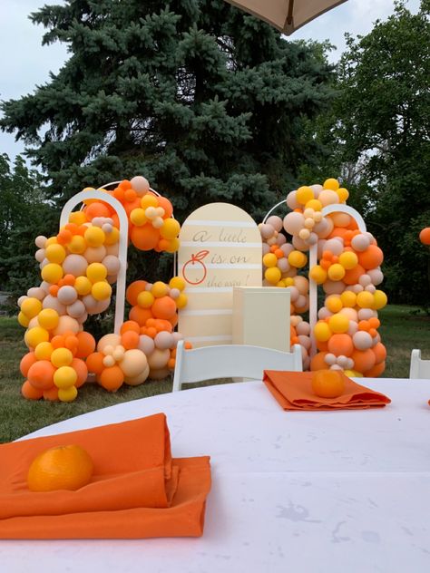 Yellow Orange Birthday Theme, Orange Crush Theme Party, Gender Reveal Ideas Orange, Orange You Curious Gender Reveal, Orange Party Theme, Charleston Brunch, Brown Baby Shower Ideas, Girly Theme, Mummy Birthday