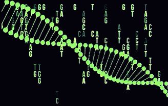 dna-code-code-matrix-dna-gif Dna And Genes, Dna Lab, Movie Special Effects, Medical Play, Embryonic Development, Heroes Reborn, Sci Fi Rpg, Make Better Choices, Museum Exhibition Design