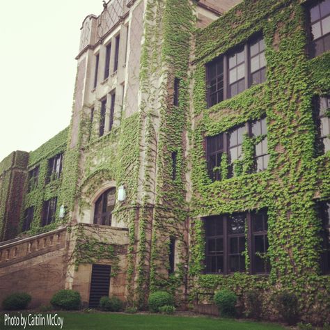 Ivy-covered Somsen Hall on the beautiful Winona State University campus Winona State University, Campus Aesthetic, Winona Minnesota, Winona Mn, College Classroom, Dear Ava, Corridor Design, Secret Admirer, University Campus