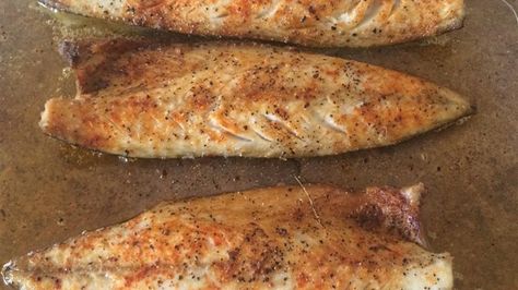 Broiled Spanish Mackerel Spanish Mackerel Recipe, Mackerel Recipe, Spinach Salad With Chicken, Easy Marinara Sauce, Summertime Salads, Mackerel Recipes, Mackerel Fish, Spanish Mackerel, Pan Seared Salmon