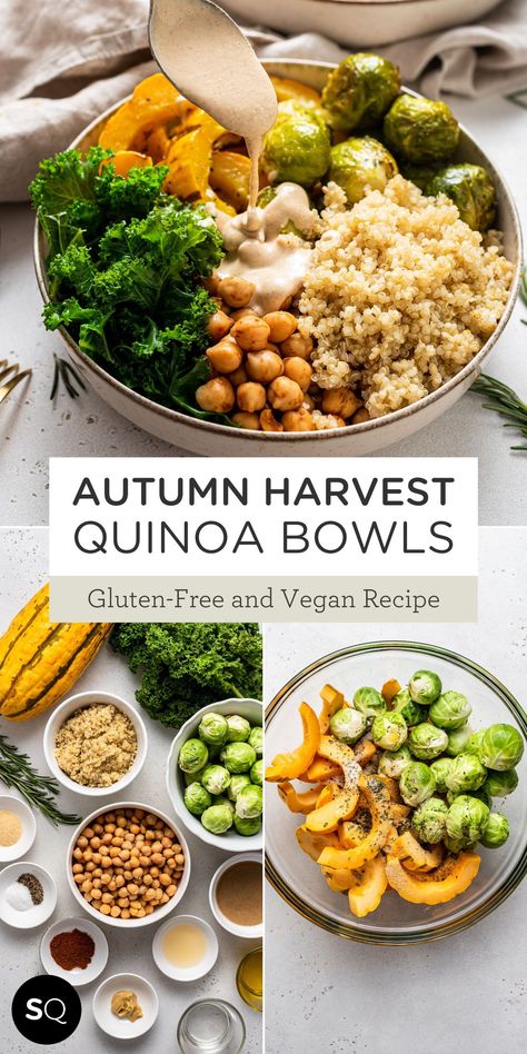 Autumn Quinoa Bowl, Autumn Harvest Quinoa Bowl, Turmeric Quinoa Recipe, Meatball Quinoa Bowl, Hummus Quinoa Bowl, Brussels Sprouts Bowl, Autumn Buddha Bowl, Warm Quinoa Bowl, Vegan Gf Fall Recipes