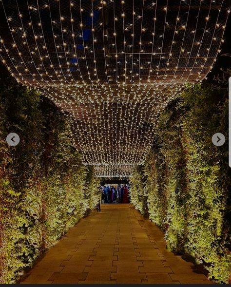 Wedding Tunnels, Wedding Walkway, Indian Wedding Decorations Receptions, Reception Stage Decor, Event Entrance, Reception Entrance, Party Entrance, Wedding Entrance Decor, Lights Wedding Decor