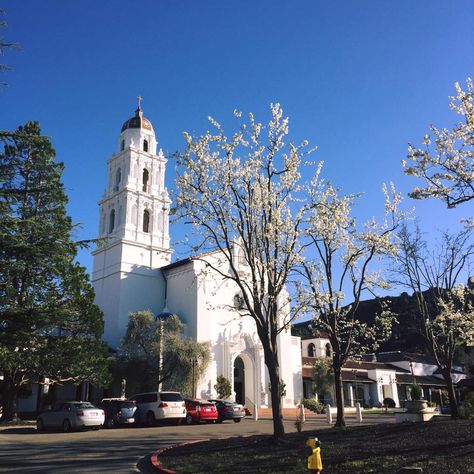 7 Reasons Saint Mary's College Of California Is The Best School Around Saint Marys College Of California, Lafayette California, Saint Marys College, College Acceptance, Dorm Inspo, Saint Marys, Dorm Ideas, Fall 24, Saint Mary