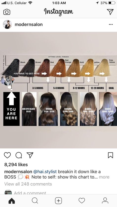 Gold Brown Hair, Box Hair Dye, Mane Hair, Box Dye, Caramel Blonde, Red To Blonde, Hair Color Chart, Chocolate Brown Hair, Hair Color Techniques