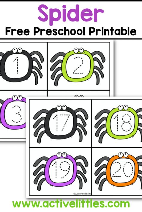 spider free preschool printable Halloween Number Activities, Preschool Activity Binder, Spider Math Activities, Halloween Worksheets Preschool, Spiders Preschool, Printable Preschool Activities, Activity Binder, Number Activities Preschool, Spider Activities