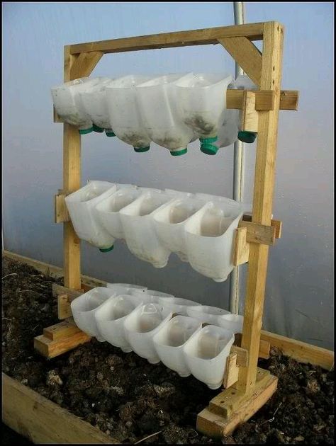 Tanaman Air, Vertical Herb Garden, Have Inspiration, Homestead Survival, Milk Carton, Amazing Life Hacks, Space Saver, Veggie Garden, Space Savers