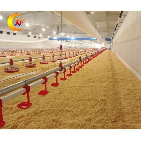 Poultry Farm Equipment Broiler Automatic Chicken Feeder Pan Poultry Feeding Line - Buy Automatic Pan Feeder System,Automatic Feeder System,Poultry Feeder And Drinker System Product on Alibaba.com Poultry Feeders, Chicken Feeders, Automatic Feeder, Best Modern House Design, Chicken Feeder, Poultry Farm, Farm Equipment, Modern House Design, Modern House