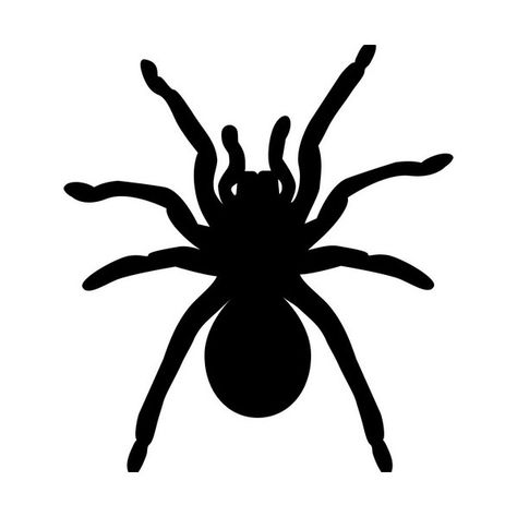 Tarantula Drawing Easy, Tarantula Art Drawing, Simple Tarantula Tattoo, Spider Cutout, Tarantula Drawing, Spider Silhouette, Tarantula Spider, Cricut Halloween, Silhouette Stencil