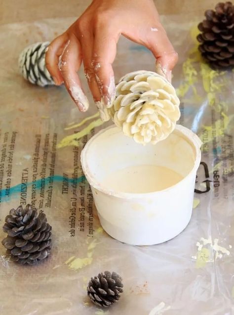 Blanchir des pommes de pin avec et sans eau de Javel pour créer une belle décoration saisonnière Bleached Pinecones, Bleach Pinecones, White Pine Cone, Painted Pinecones, Pine Cone Art, Diy Pinecone, Pine Cone Decorations, Cones Crafts, Pine Cone Crafts