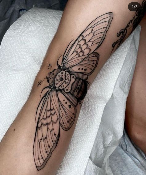 Fold Tattoo, Az Tattoo, Cicada Tattoo, Dots To Lines, Moth Tattoo, Female Tattoo, American Traditional Tattoo, Best Tattoo Ideas, Minimal Tattoo