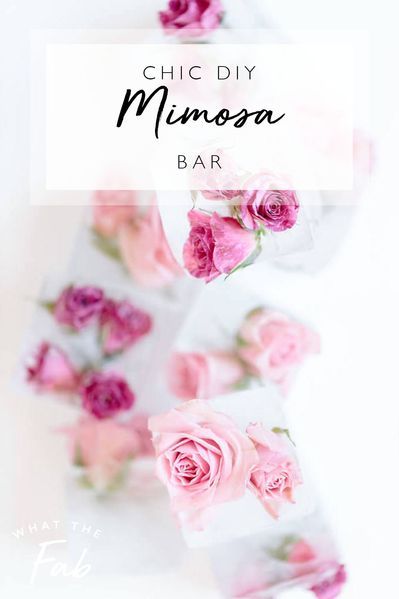 Mimosa Bar Ideas Brunch Party, Easy Mimosa Bar, Mimosa Bar Recipe, Mimosa Recipe Easy, Mimosa Bar Ideas, Easy Mimosa, Diy Mimosa Bar, Diy Mimosa, Mimosa Party