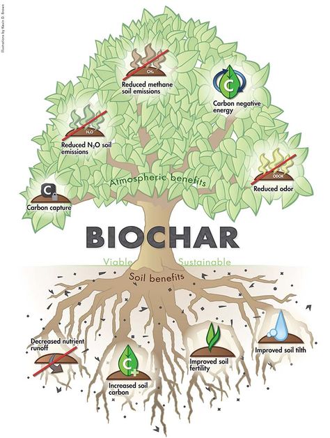 Carbon Sequestration, Natural Farming, Garden Farm, Permaculture Gardening, Permaculture Design, Farm Ideas, Food Forest, Soil Improvement, Soil Health